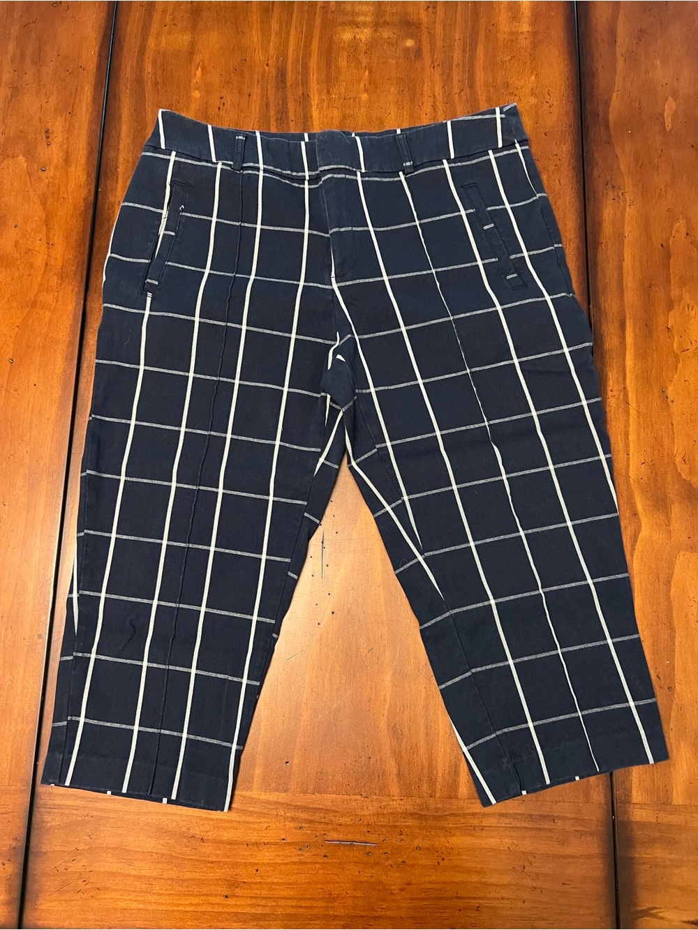 Woman’s Time and Tru 14 Navy Windowpane Plaid Cropped Pants Cotton